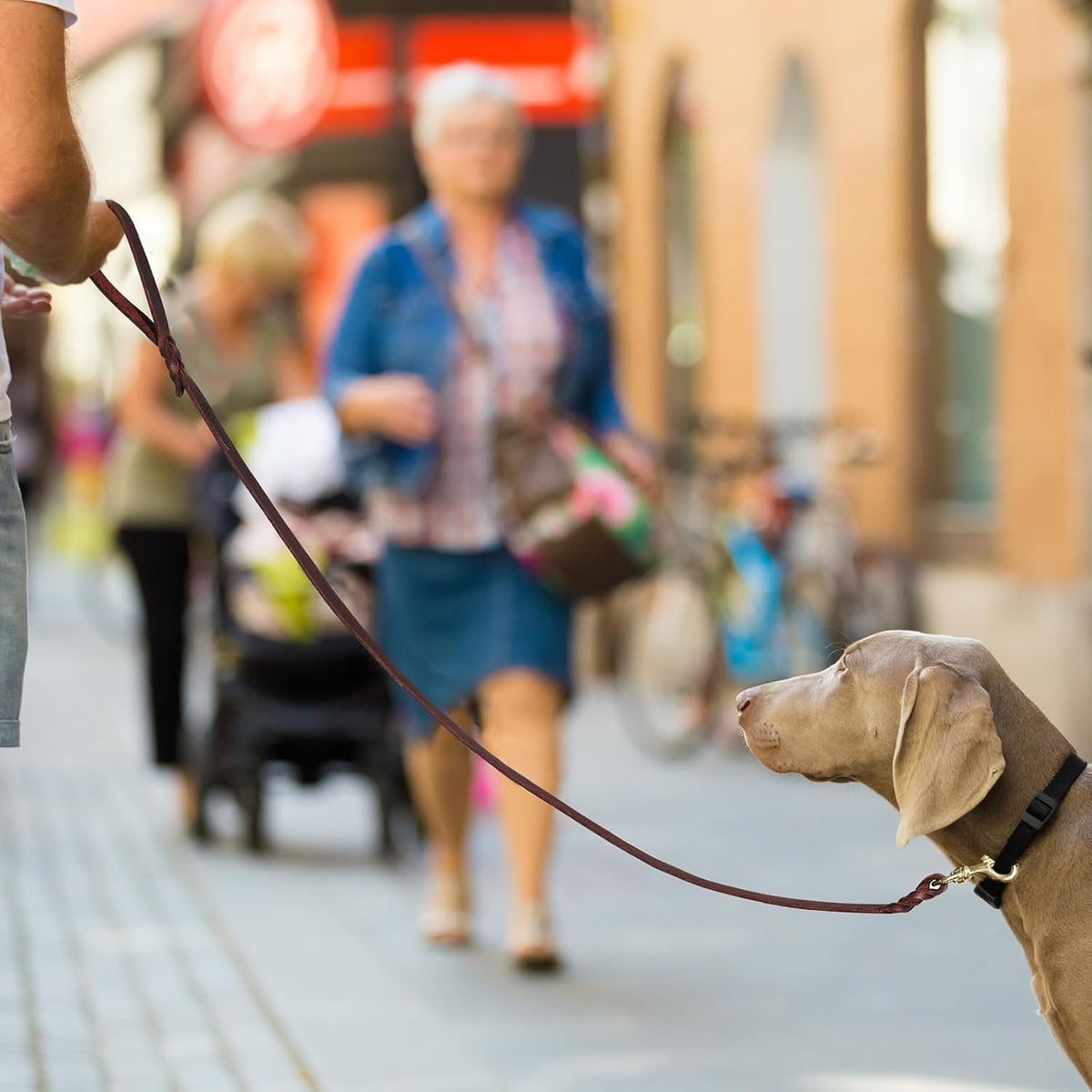 6ft Leather Dog Leash for Large Medium Dogs Heavy Duty Training Leash