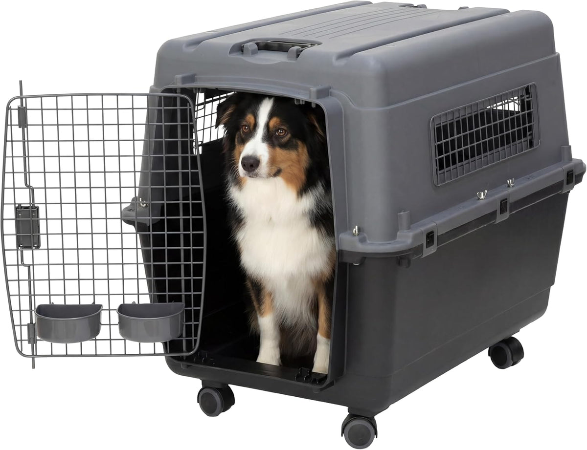 SportPet Airline Compliant LARGE 31.5" Travel Dog Kennel-Durable Plastic Airline Pet Carrier w/ Removable Wheels & Food Bowls, Collapsible Indoor/Outdoor Dog Kennel, Dogs up to 28"L & 20"H-Cream/Gray