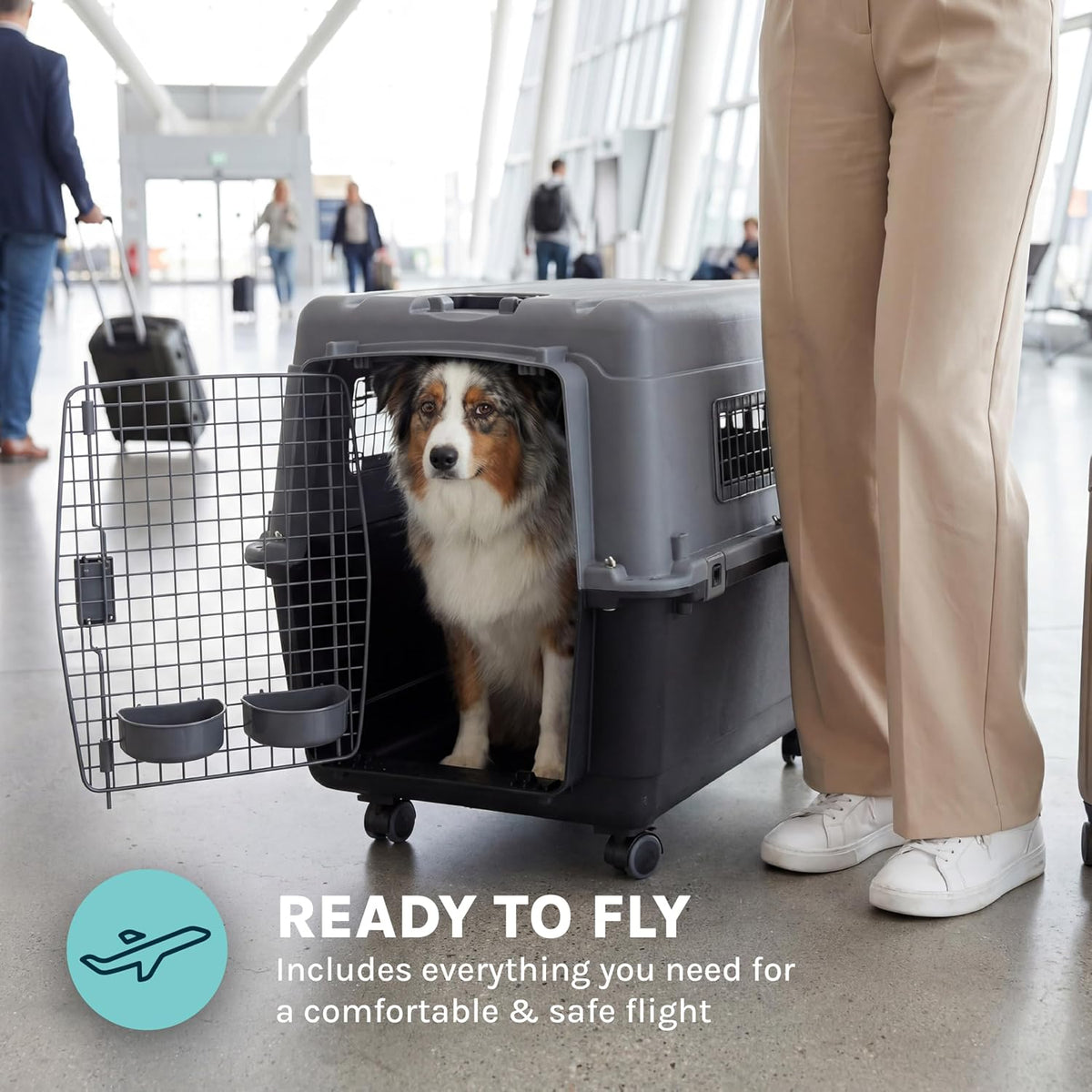 SportPet Airline Compliant LARGE 31.5" Travel Dog Kennel-Durable Plastic Airline Pet Carrier w/ Removable Wheels & Food Bowls, Collapsible Indoor/Outdoor Dog Kennel, Dogs up to 28"L & 20"H-Cream/Gray