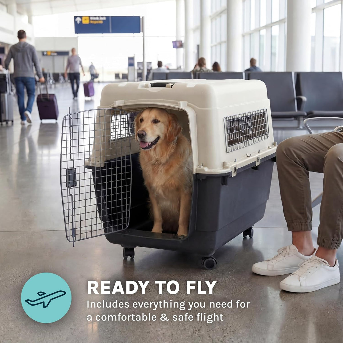 SportPet Airline Compliant LARGE 31.5" Travel Dog Kennel-Durable Plastic Airline Pet Carrier w/ Removable Wheels & Food Bowls, Collapsible Indoor/Outdoor Dog Kennel, Dogs up to 28"L & 20"H-Cream/Gray