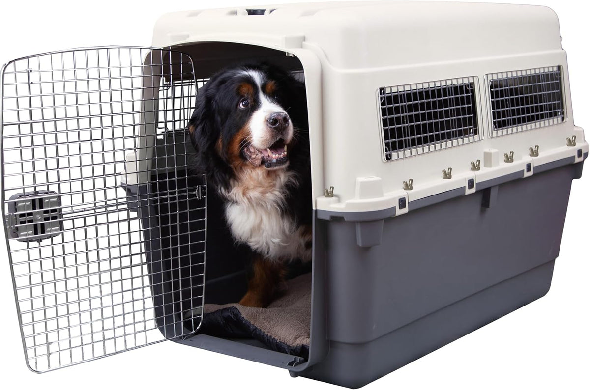 SportPet Airline Compliant LARGE 31.5" Travel Dog Kennel-Durable Plastic Airline Pet Carrier w/ Removable Wheels & Food Bowls, Collapsible Indoor/Outdoor Dog Kennel, Dogs up to 28"L & 20"H-Cream/Gray