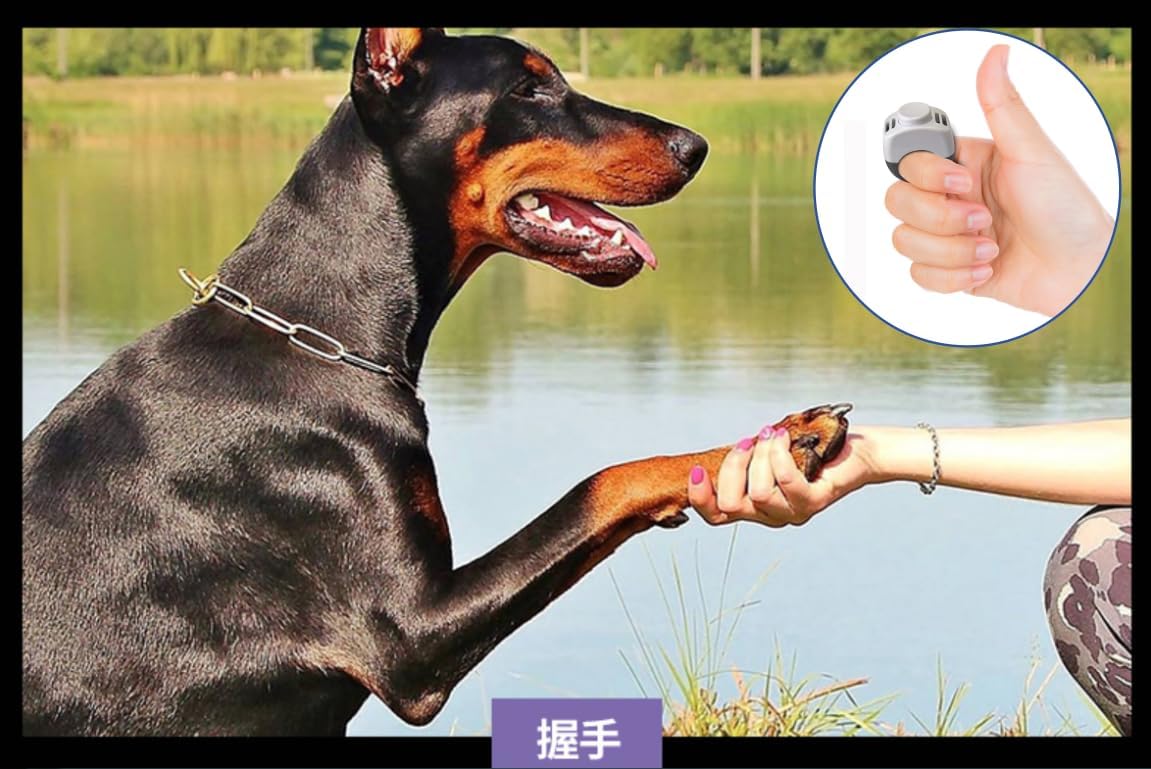 The Set of Easy Clicking Finger Ring Clicker Included Large and Small 2 Sizes,Dog clicker Trainer Suitable for Dogs Cats Horses traing Allowing Effective Versatile Training (Grey+Green)