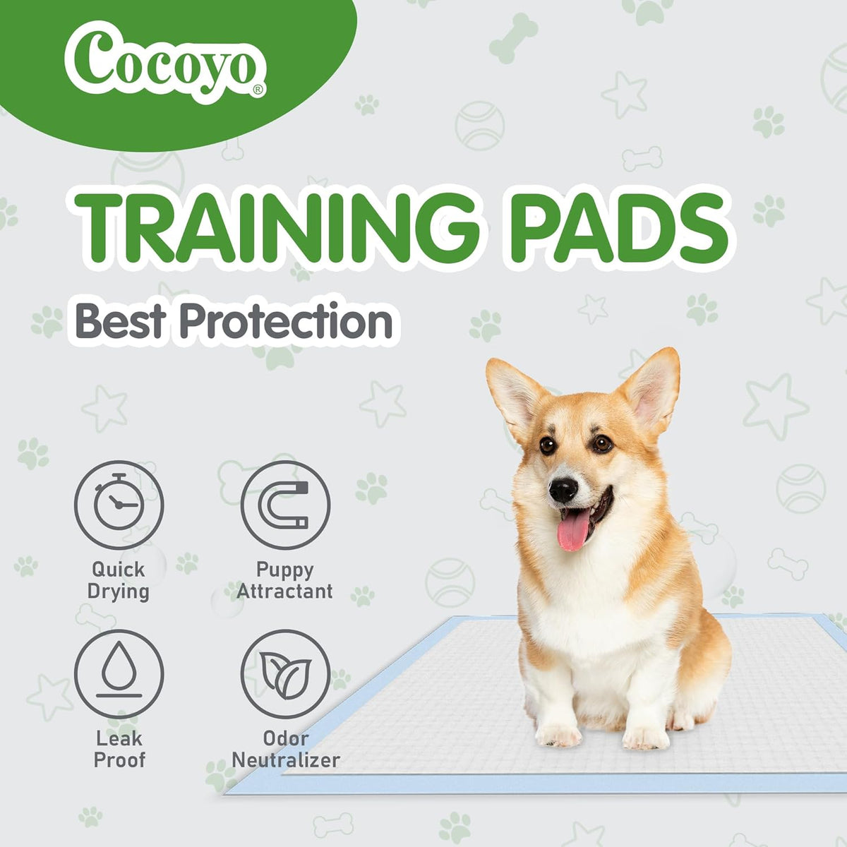 Best Value Dog Training Pads Giant Size | Dog Pee Pads XXXL Size | Super Absorbent Puppy Pads (30" x 45", 30 Count) (XXXL)