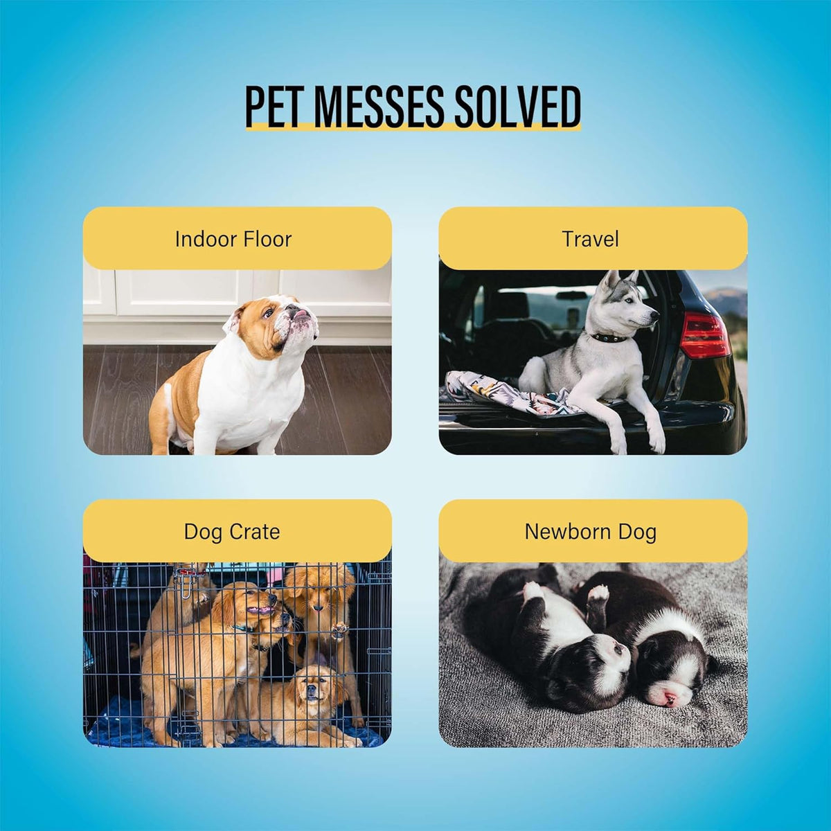 Best Value Dog Training Pads Giant Size | Dog Pee Pads XXXL Size | Super Absorbent Puppy Pads (30" x 45", 30 Count) (XXXL)