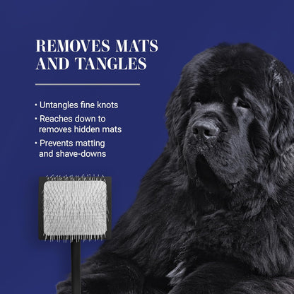 Slicker Brush for Dogs, Groom Like a Professional, Ideal For All Coat Types, Remove Shedding Coat, Tangles and Dead Undercoat, 17 mm Stainless Steel Pins, Medium