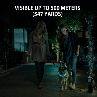 2-Pack LED Dog Collar, Light Up Dog Collars,Rechargeable Dog Lights for Night Walking，Universal, Reusable Safety Necklace for Small Medium Large Dogs Green&Blue