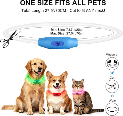 2-Pack LED Dog Collar, Light Up Dog Collars,Rechargeable Dog Lights for Night Walking，Universal, Reusable Safety Necklace for Small Medium Large Dogs Green&Blue