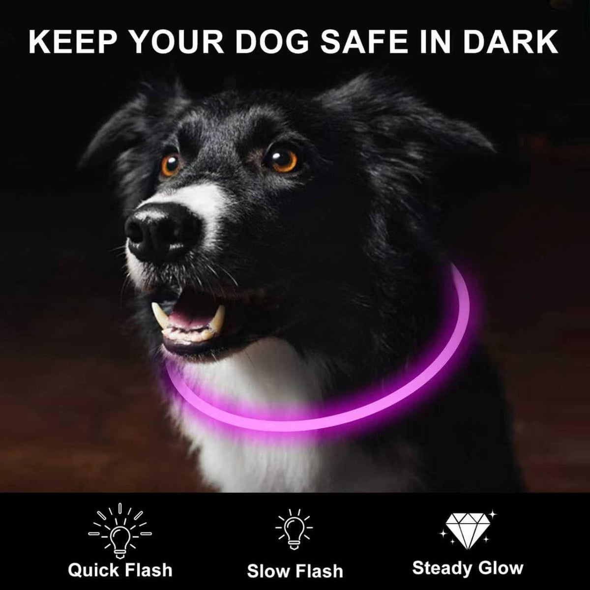 2-Pack LED Dog Collar, Light Up Dog Collars,Rechargeable Dog Lights for Night Walking，Universal, Reusable Safety Necklace for Small Medium Large Dogs Green&Blue