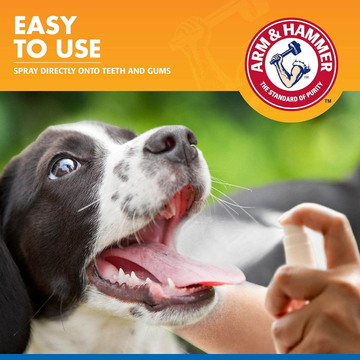 Tartar Control Dental Spray for Dogs, Mint, 4 Fl Oz