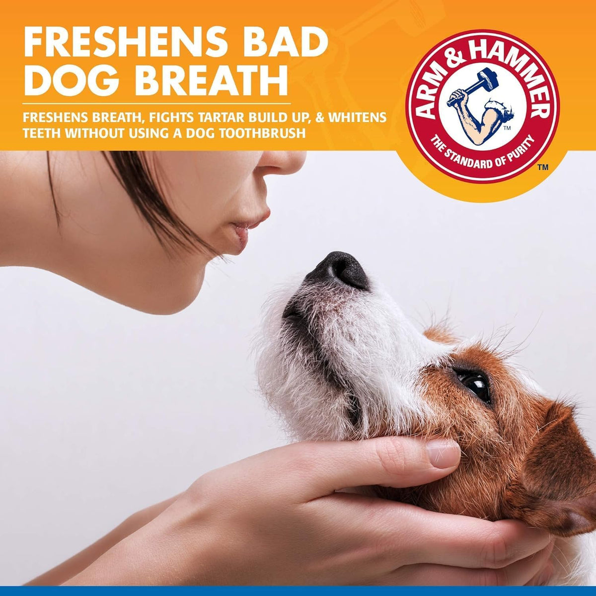 Tartar Control Dental Spray for Dogs, Mint, 4 Fl Oz
