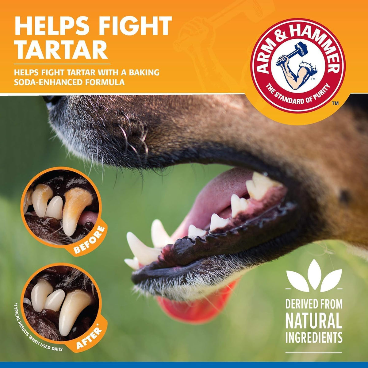 Tartar Control Dental Spray for Dogs, Mint, 4 Fl Oz