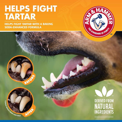 Tartar Control Dental Spray for Dogs, Mint, 4 Fl Oz