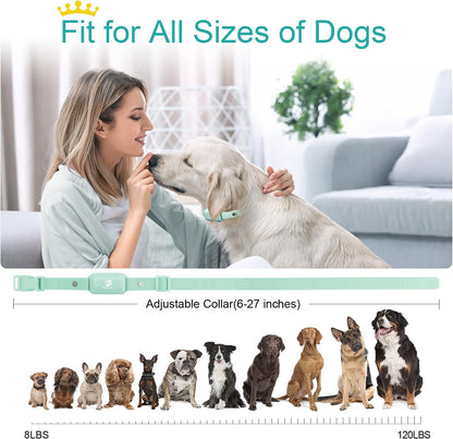 Shock Collar for Dogs - Waterproof Rechargeable Dog Electric Training Collar with Remote for Small Medium Large Dogs with Beep, Vibration, Safe Shock Modes (8-120 Lbs) (Grey)