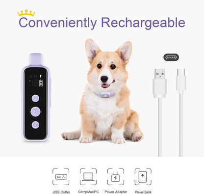 Shock Collar for Dogs - Waterproof Rechargeable Dog Electric Training Collar with Remote for Small Medium Large Dogs with Beep, Vibration, Safe Shock Modes (8-120 Lbs) (Grey)