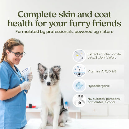 Dog Shampoo and Conditioner, Blue Ribbon, 1-Pack | Probiotic pH-balanced formula nourishes, detangles and deep cleans for silky coat, Puppy Shampoo and Conditioner