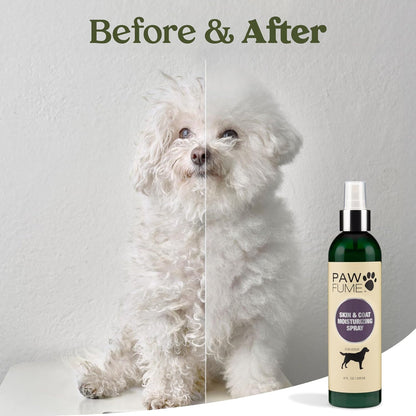 Dog Shampoo and Conditioner, Blue Ribbon, 1-Pack | Probiotic pH-balanced formula nourishes, detangles and deep cleans for silky coat, Puppy Shampoo and Conditioner