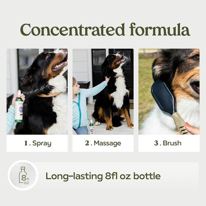 Dog Shampoo and Conditioner, Blue Ribbon, 1-Pack | Probiotic pH-balanced formula nourishes, detangles and deep cleans for silky coat, Puppy Shampoo and Conditioner
