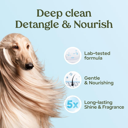 Dog Shampoo and Conditioner, Blue Ribbon, 1-Pack | Probiotic pH-balanced formula nourishes, detangles and deep cleans for silky coat, Puppy Shampoo and Conditioner