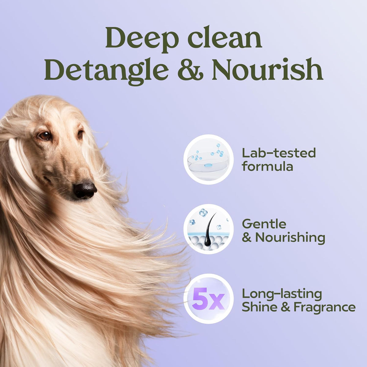 Dog Shampoo and Conditioner, Blue Ribbon, 1-Pack | Probiotic pH-balanced formula nourishes, detangles and deep cleans for silky coat, Puppy Shampoo and Conditioner