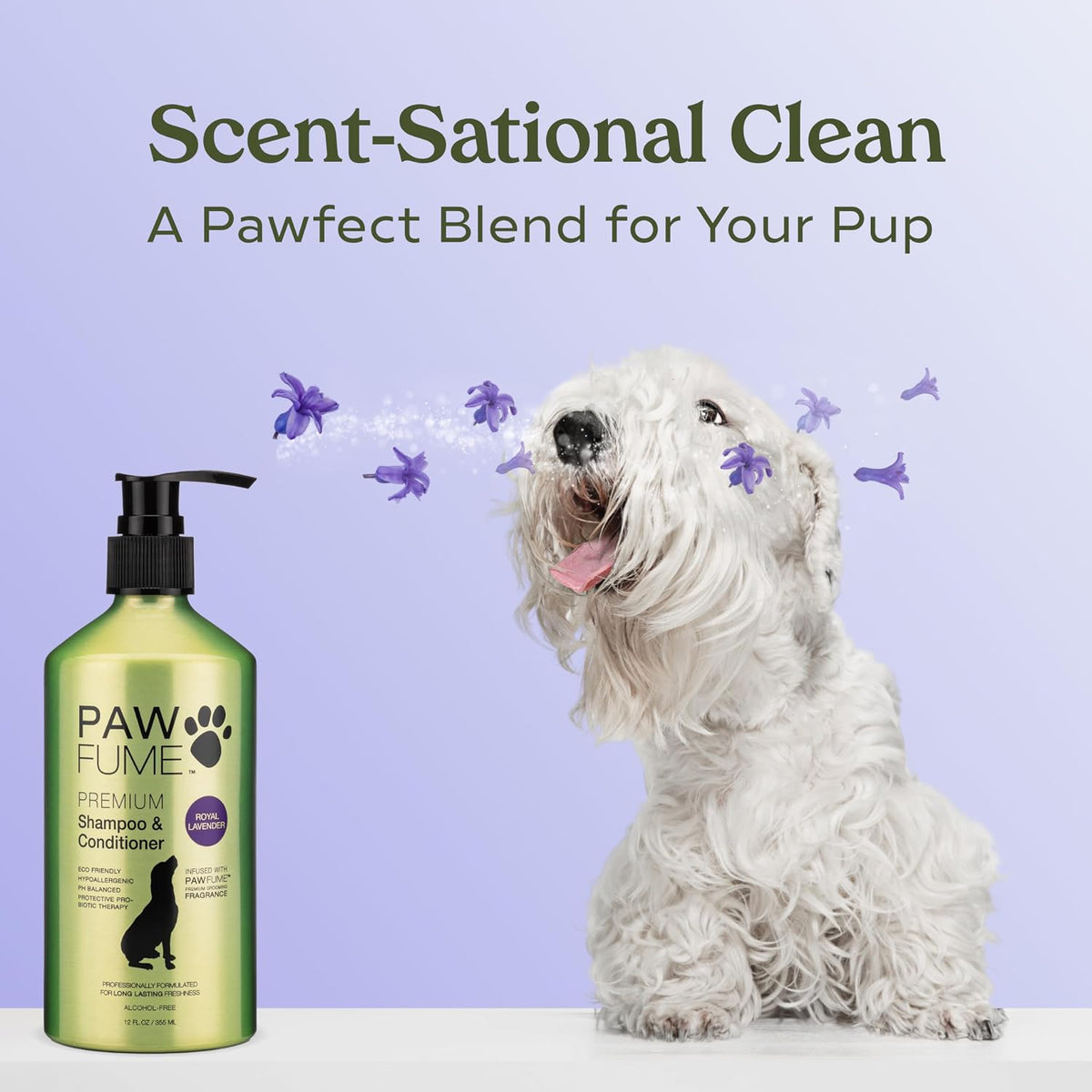 Dog Shampoo and Conditioner, Blue Ribbon, 1-Pack | Probiotic pH-balanced formula nourishes, detangles and deep cleans for silky coat, Puppy Shampoo and Conditioner