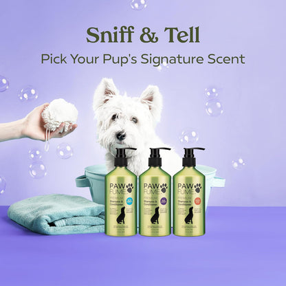Dog Shampoo and Conditioner, Blue Ribbon, 1-Pack | Probiotic pH-balanced formula nourishes, detangles and deep cleans for silky coat, Puppy Shampoo and Conditioner