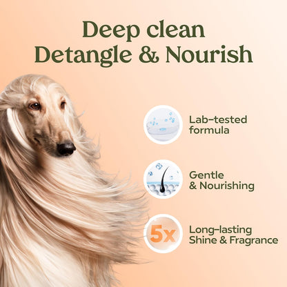 Dog Shampoo and Conditioner, Blue Ribbon, 1-Pack | Probiotic pH-balanced formula nourishes, detangles and deep cleans for silky coat, Puppy Shampoo and Conditioner