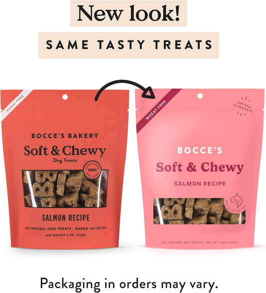 Salmon Flavor Soft & Chewy Dog Treats, 6 oz