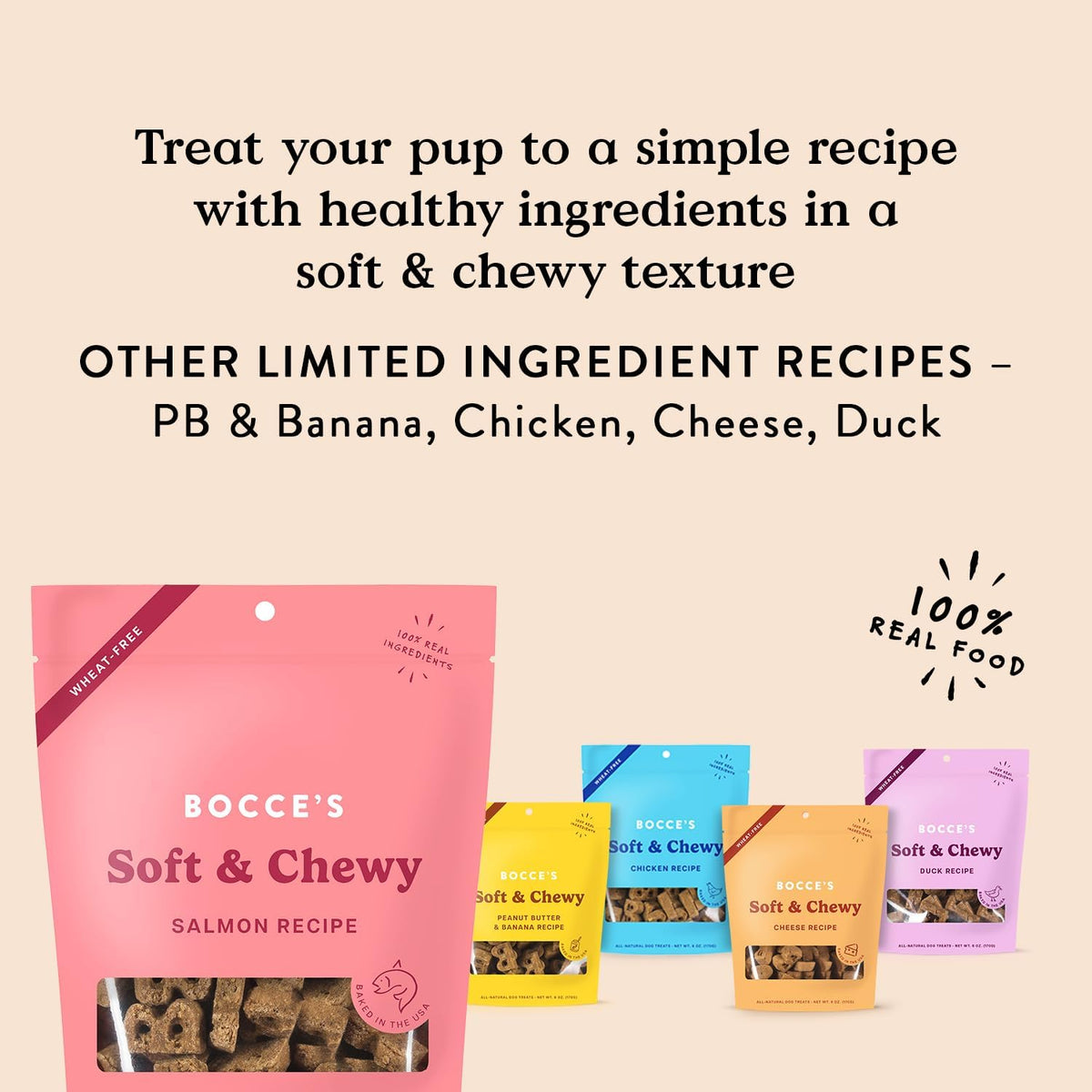 Salmon Flavor Soft & Chewy Dog Treats, 6 oz
