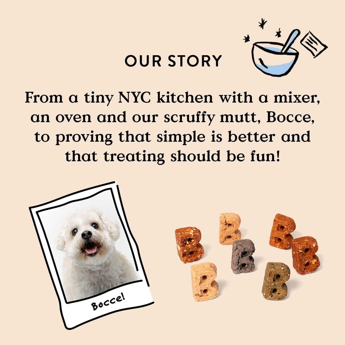 Salmon Flavor Soft & Chewy Dog Treats, 6 oz