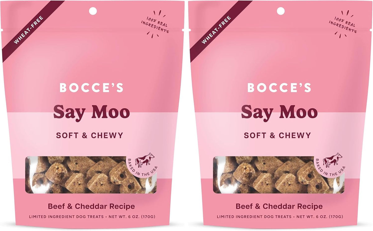 Salmon Flavor Soft & Chewy Dog Treats, 6 oz