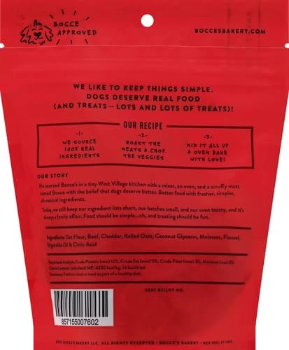 Salmon Flavor Soft & Chewy Dog Treats, 6 oz