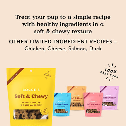Salmon Flavor Soft & Chewy Dog Treats, 6 oz