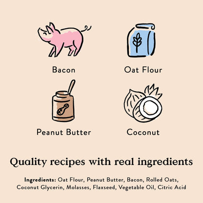 Salmon Flavor Soft & Chewy Dog Treats, 6 oz