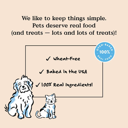 Salmon Flavor Soft & Chewy Dog Treats, 6 oz