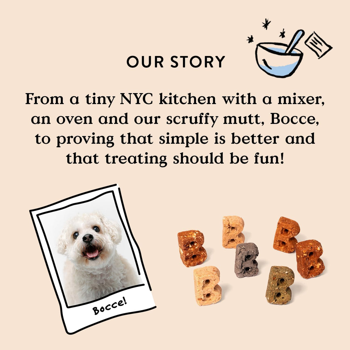 Salmon Flavor Soft & Chewy Dog Treats, 6 oz