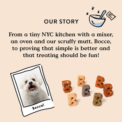 Salmon Flavor Soft & Chewy Dog Treats, 6 oz