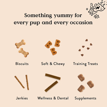 Salmon Flavor Soft & Chewy Dog Treats, 6 oz