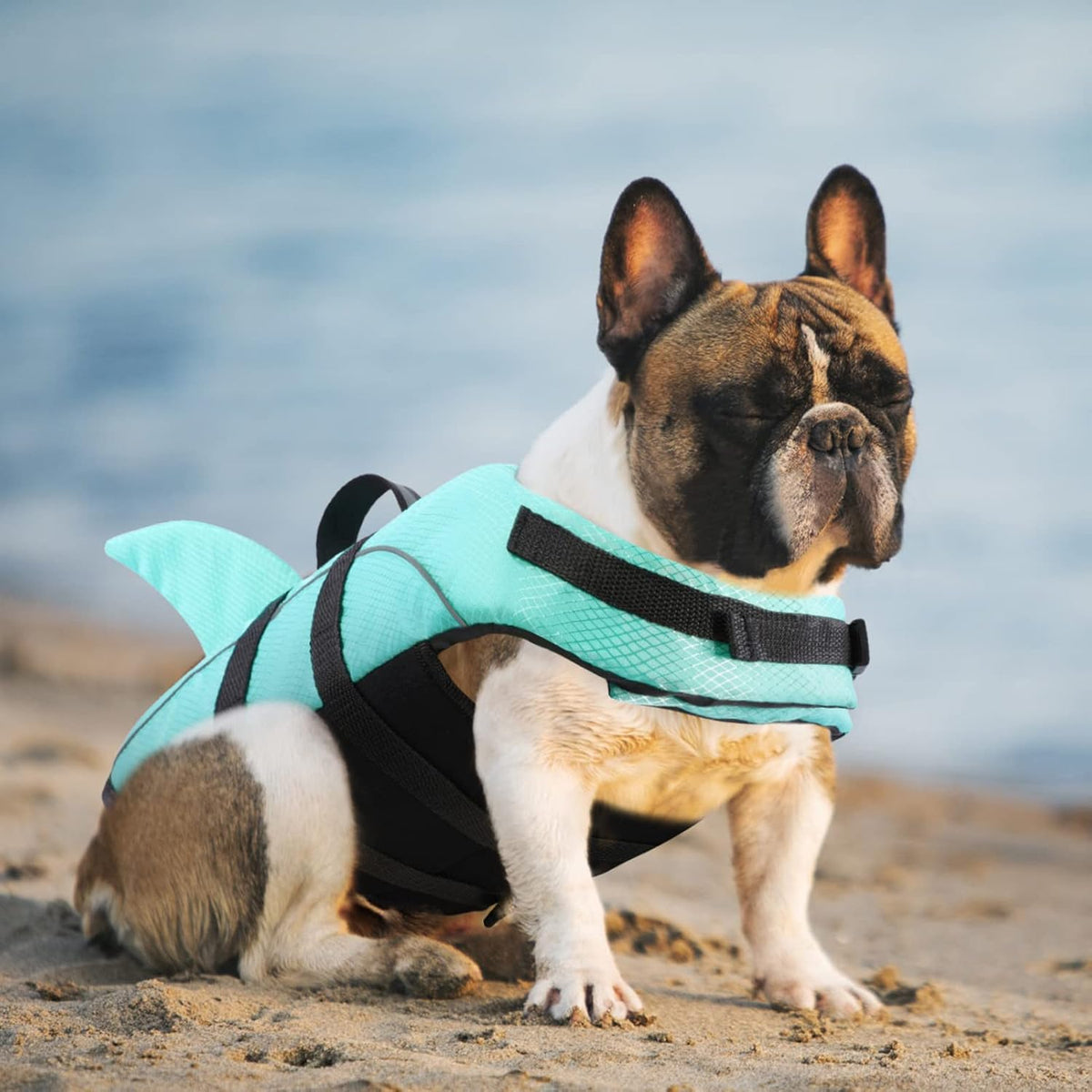 Ripstop Dog Life Jacket Shark Life Vest for Dogs, Safety Lifesaver with High Buoyancy and Lift Handle for Small and Medium Breeds（Rose Red XS）