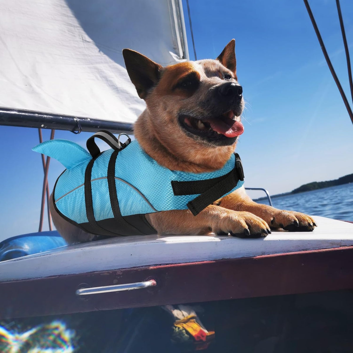 Ripstop Dog Life Jacket Shark Life Vest for Dogs, Safety Lifesaver with High Buoyancy and Lift Handle for Small and Medium Breeds（Rose Red XS）