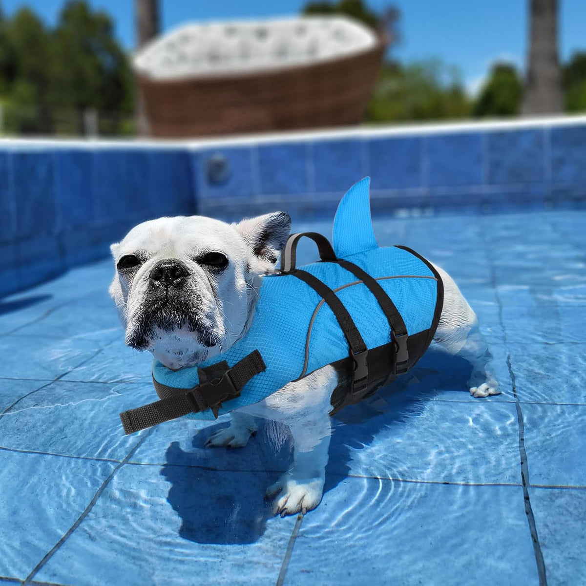 Ripstop Dog Life Jacket Shark Life Vest for Dogs, Safety Lifesaver with High Buoyancy and Lift Handle for Small and Medium Breeds（Rose Red XS）