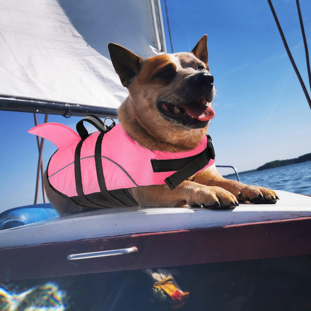 Ripstop Dog Life Jacket Shark Life Vest for Dogs, Safety Lifesaver with High Buoyancy and Lift Handle for Small and Medium Breeds（Rose Red XS）