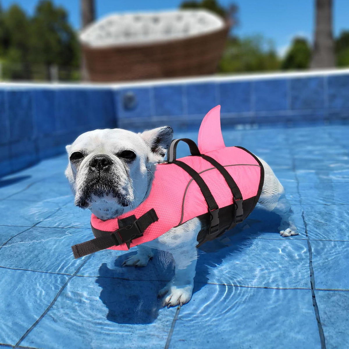 Ripstop Dog Life Jacket Shark Life Vest for Dogs, Safety Lifesaver with High Buoyancy and Lift Handle for Small and Medium Breeds（Rose Red XS）