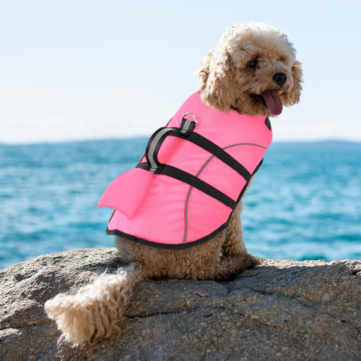 Ripstop Dog Life Jacket Shark Life Vest for Dogs, Safety Lifesaver with High Buoyancy and Lift Handle for Small and Medium Breeds（Rose Red XS）