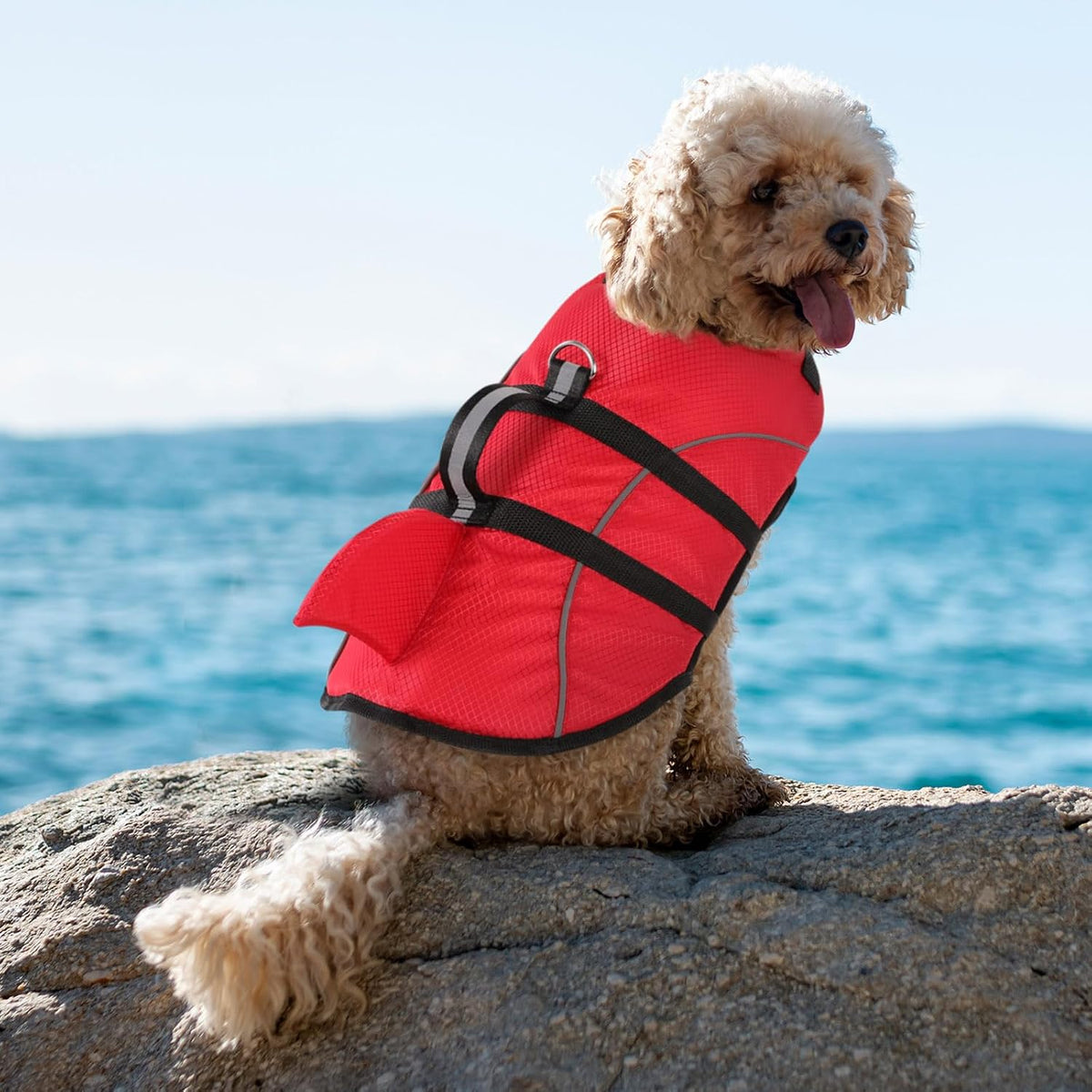 Ripstop Dog Life Jacket Shark Life Vest for Dogs, Safety Lifesaver with High Buoyancy and Lift Handle for Small and Medium Breeds（Rose Red XS）