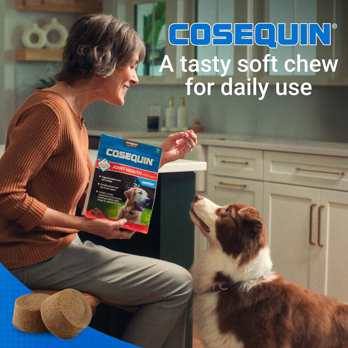 Nutramax Cosequin Dog Joint Supplement for Senior Dogs, Soft Chews