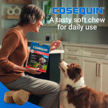 Nutramax Cosequin Dog Joint Supplement for Senior Dogs, Soft Chews