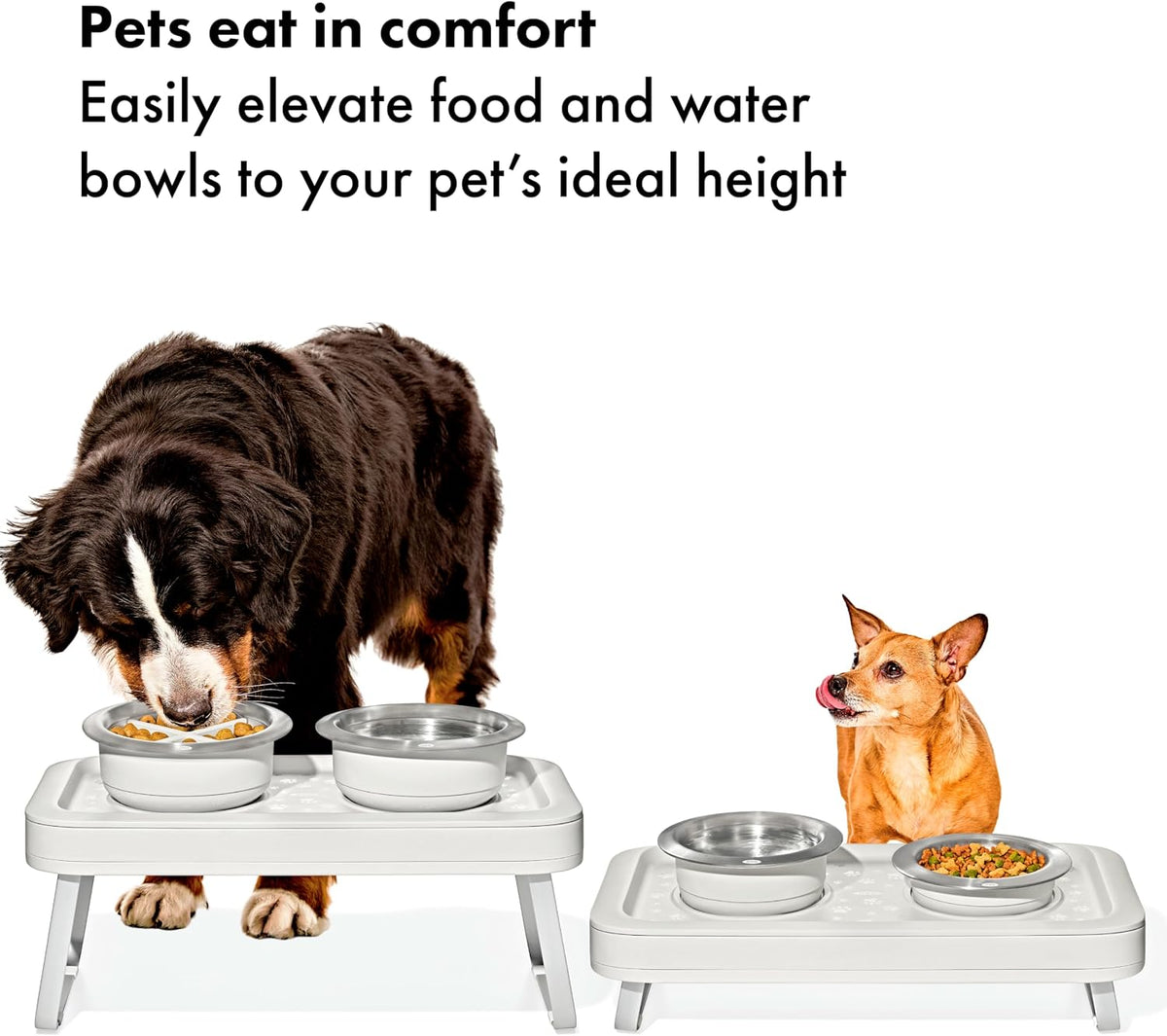 Pet Adjustable Elevated Feeder