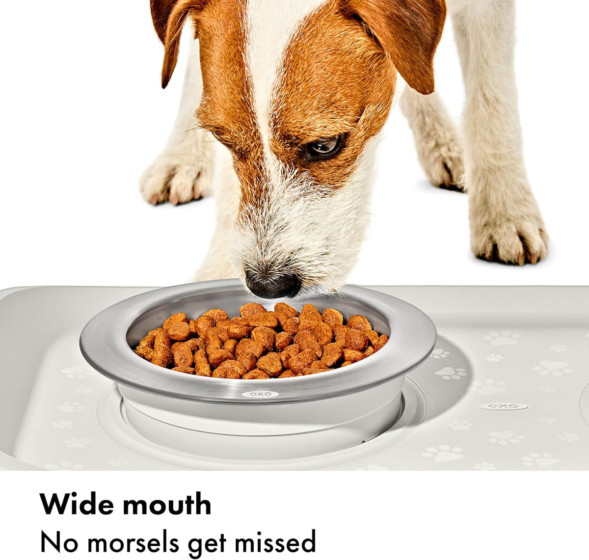 Pet Adjustable Elevated Feeder