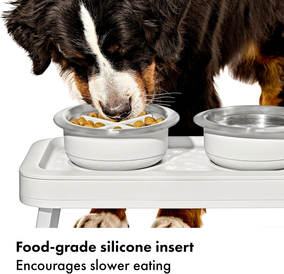 Pet Adjustable Elevated Feeder
