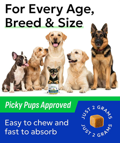 Hemp Dog Calming Chews - Stress, Travel, Anxiety Relief Treats